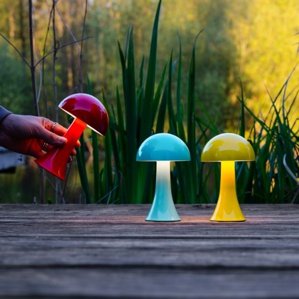 Drei pilzförmige Leuchten auf einem Holzdielensteg. Eine rote Lampe wird in der Hand gehalten, eine türkise und eine gelbe stehen fest auf dem Steg. Im Hintergrund sind grüne Pflanzen und Wasser. Warmes Licht.