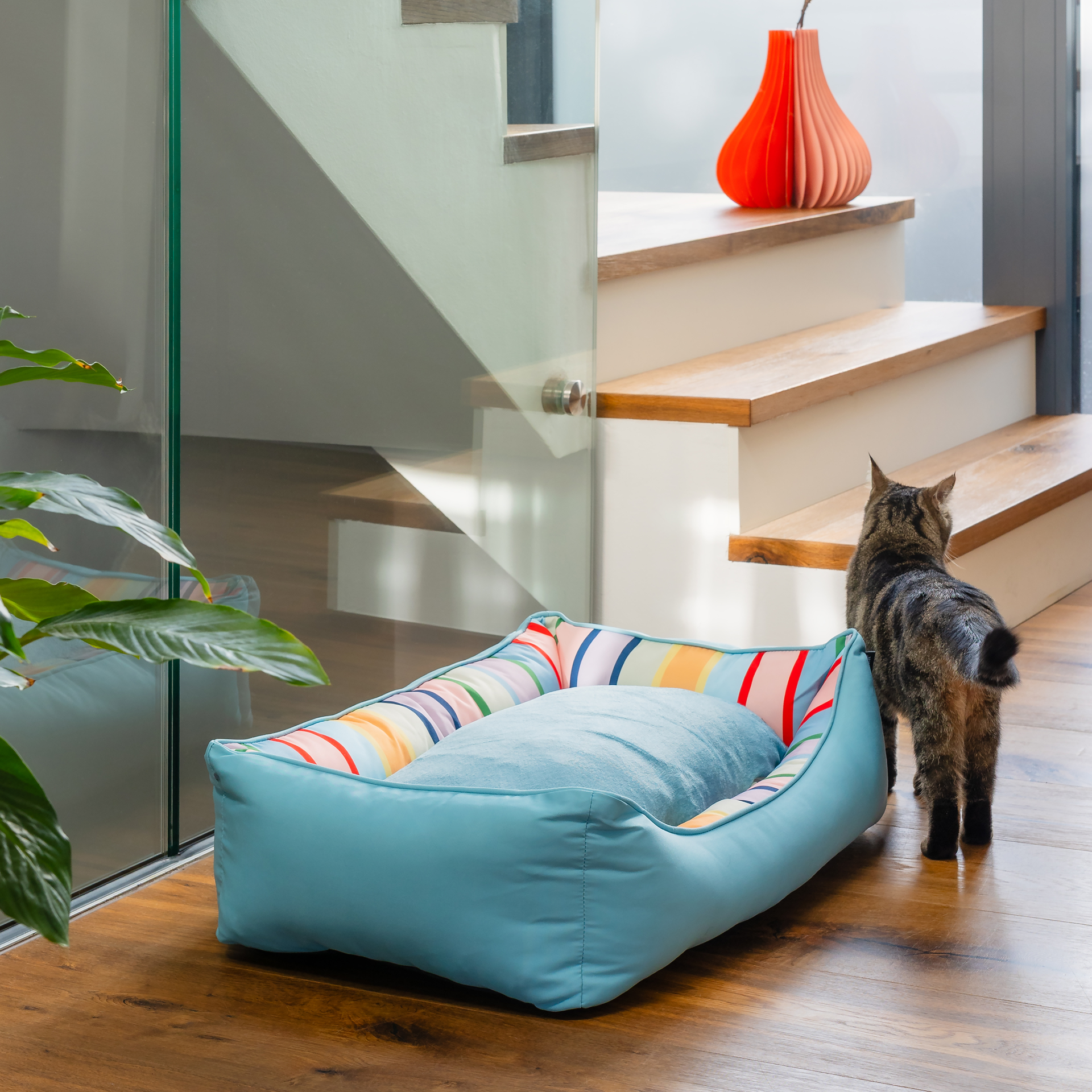 Gestreiftes Hundebett Lotta M in Größe M mit hellblauem Außenbezug und weichem, herausnehmbarem Kissen. Kissen und Innenwände zeigen lebhafte vertikale Streifen in Rot, Orange, Gelb, Blau und Rosa.