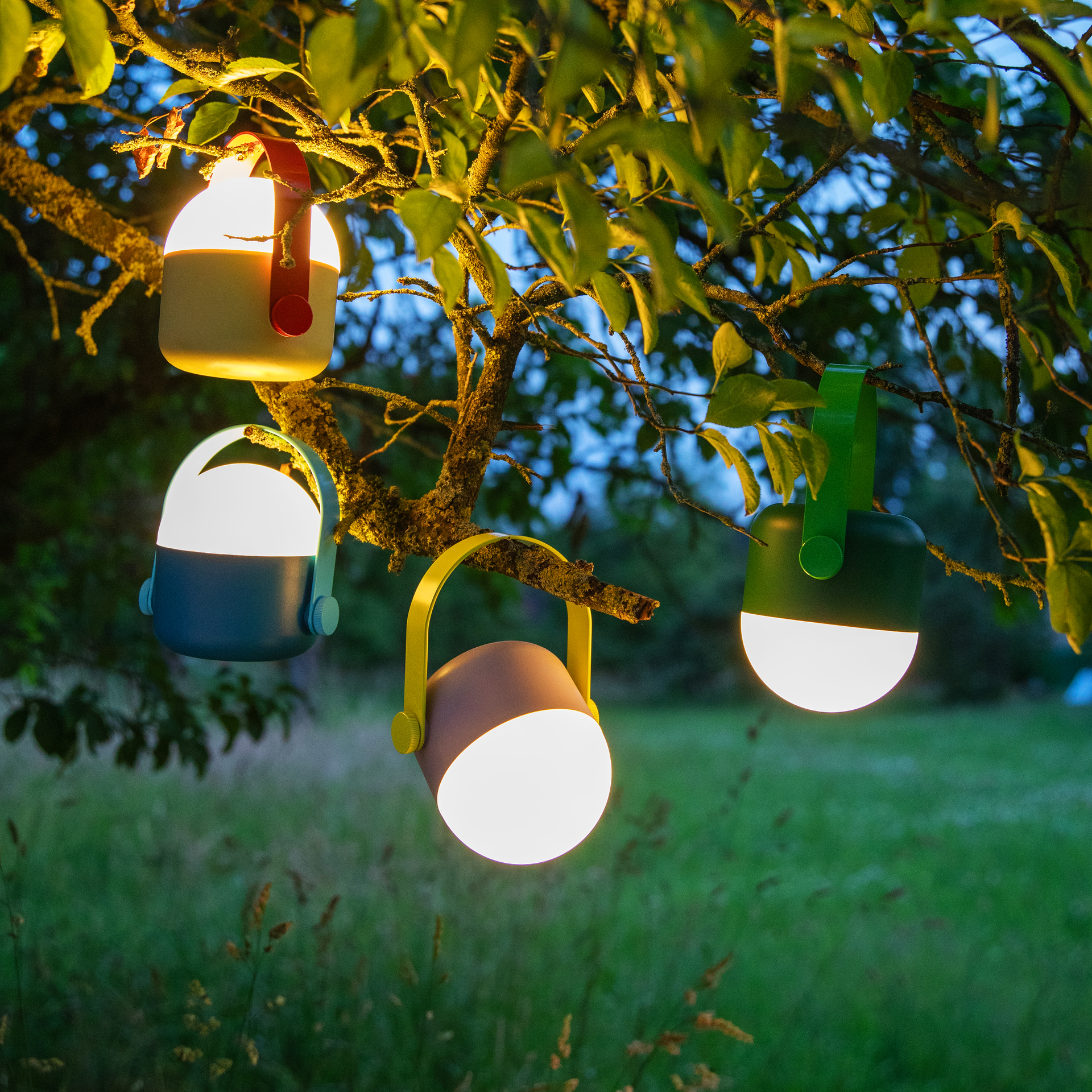 Cuatro luces LED de colores «Ole» cuelgan de un árbol, que se ve difuminado en verde al fondo. Las luces emiten una luz cálida y suave.