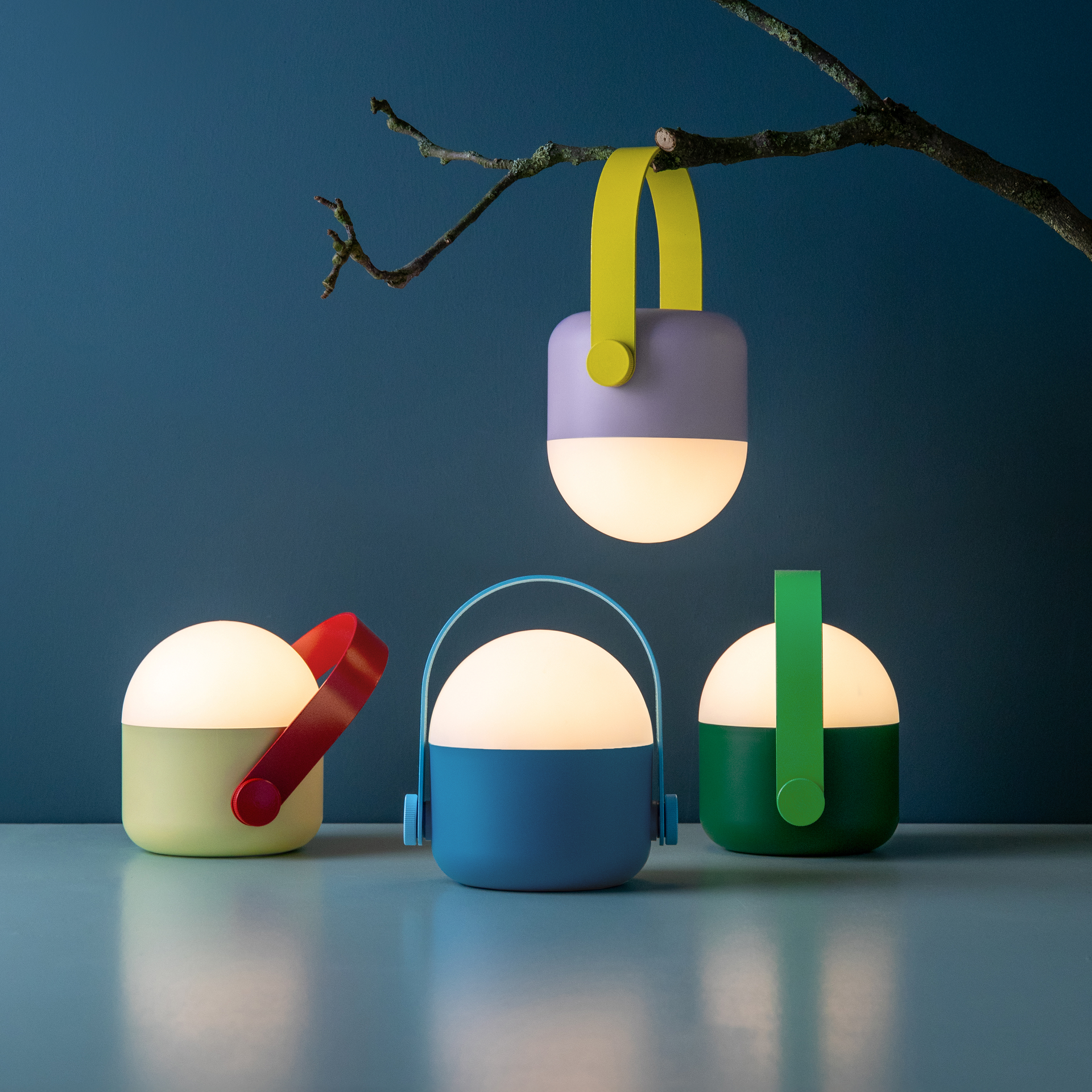 Vier 'Ole' lampjes in groen, blauw, paars en geel. Ze staan en hangen aan een tak.