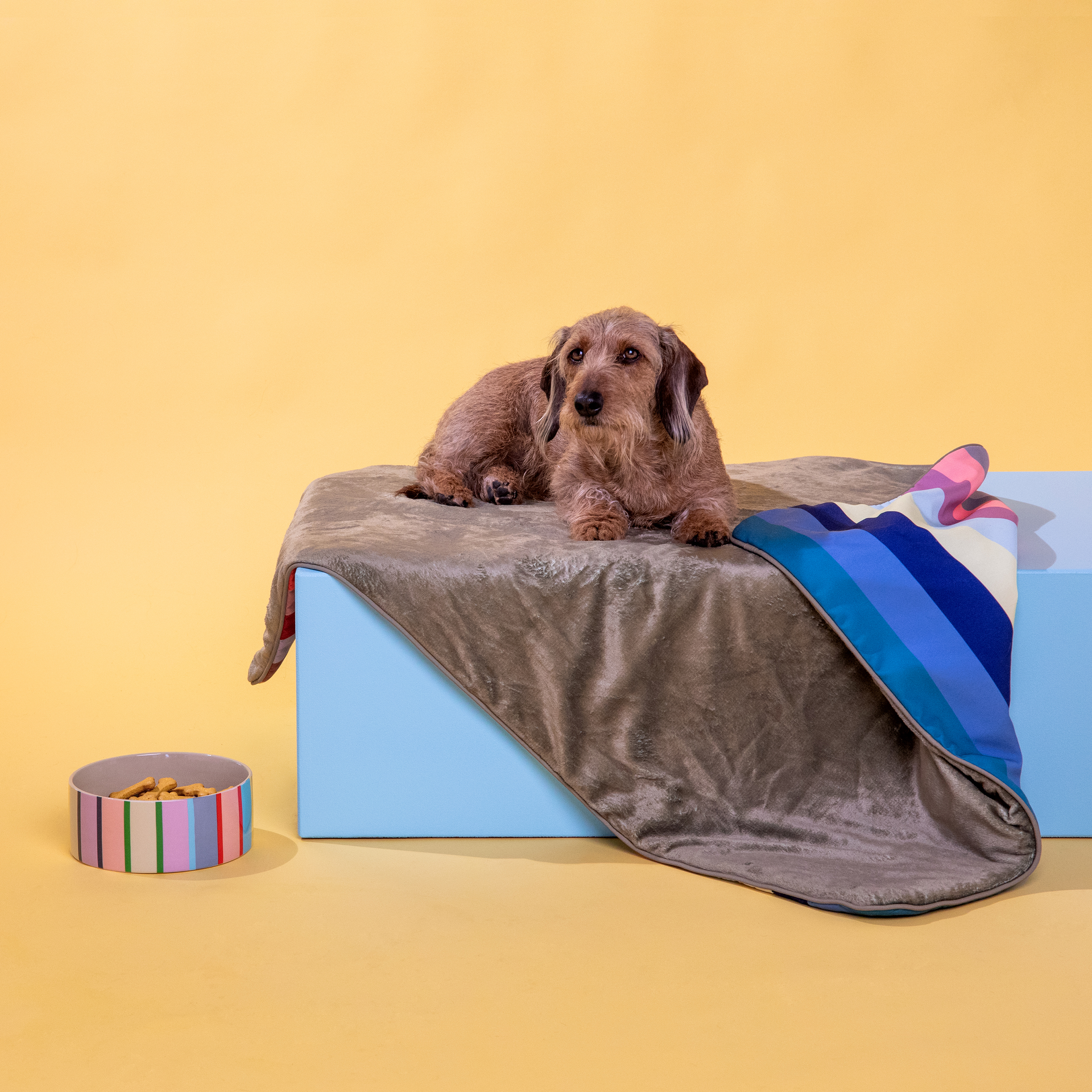 Hundedecke Ronja