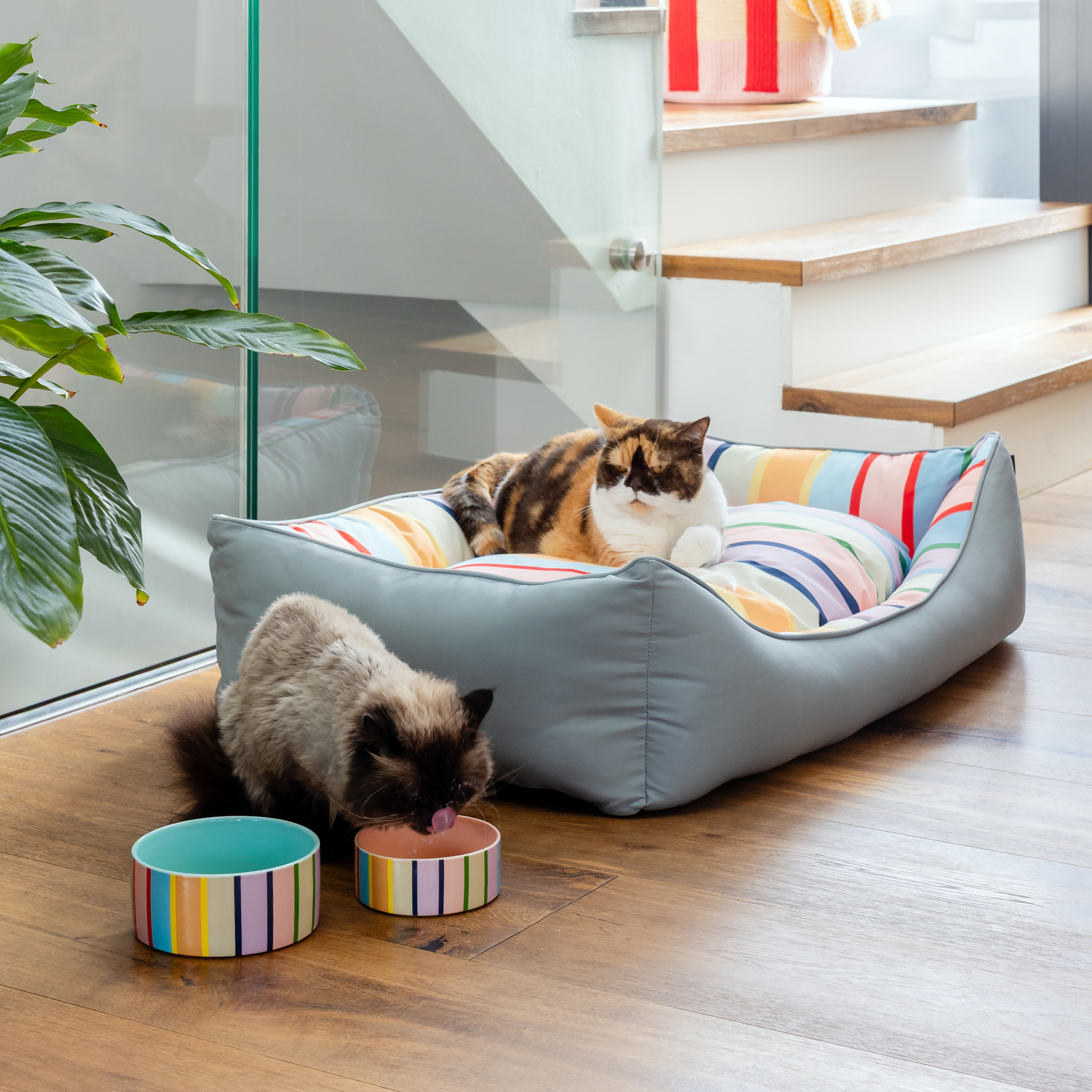 Großes Hundebett „Lotta L“ mit robustem hellgrau-grünem Außenmaterial und herausnehmbarem Kissen. Das Kissen ist bunt gestreift mit vertikalen Streifen in Rot, Blau, Gelb, Orange, Grün, Pink und Lila.