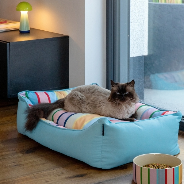 A beige, fluffy cat with a dark face and a bushy tail is lying relaxed in a light blue pet bed with a colourful striped cushion. Next to it is a bowl of food. In the background, a green mushroom lamp is glowing.