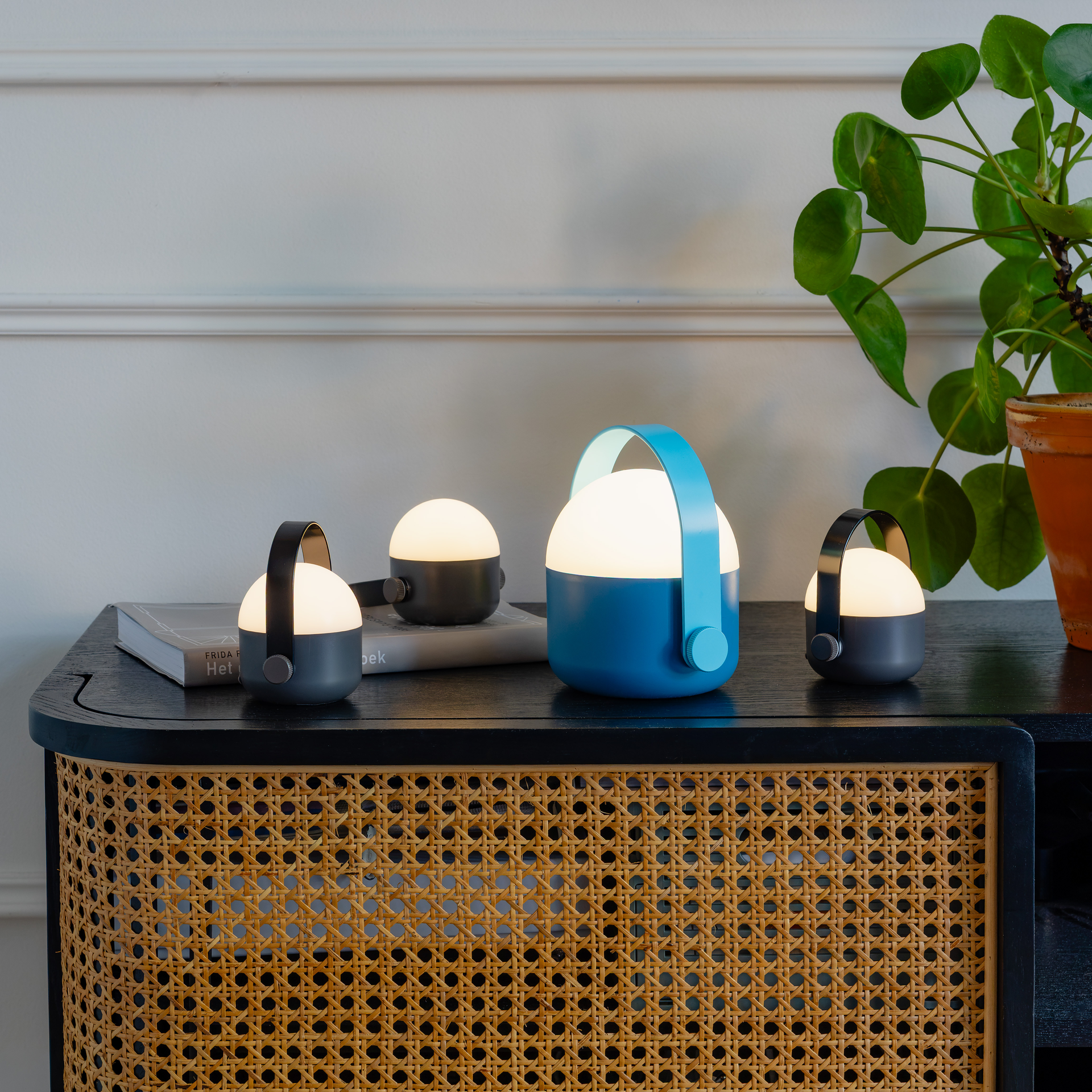 Vier akkubetriebene LED-Leuchten auf dunklem Holzschrank (Rattanfront), 3 grau, 1 blau. Warmweißes Licht. Hintergrund: weiße Wand, grüne Pflanze.