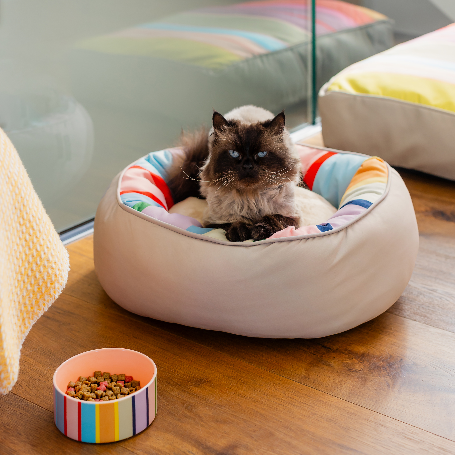 Rundes Hunde- und Katzenbett Lotta S in Größe S mit glattem, beigefarbenem Außenmaterial. Innen ein weiches, herausnehmbares Kissen mit bunten Streifen in Gelb, Orange, Blau, Pink und Grün für maximalen Komfort.