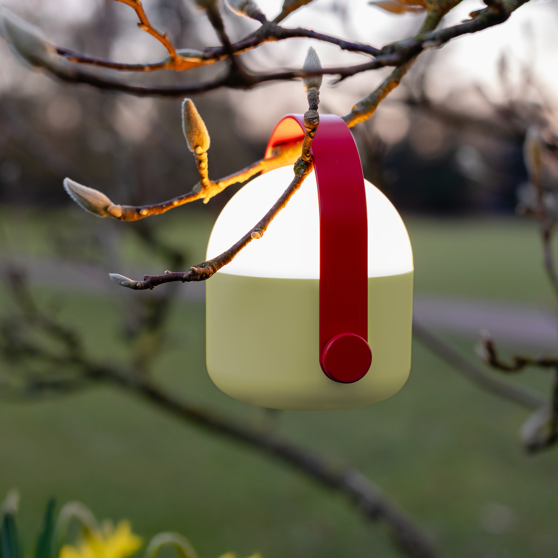 Een zandkleurige lamp met een rood handvat hangt aan een bloeiende tak. Het licht van de lamp schijnt fel. Op de achtergrond zijn bomen en een pad te zien.