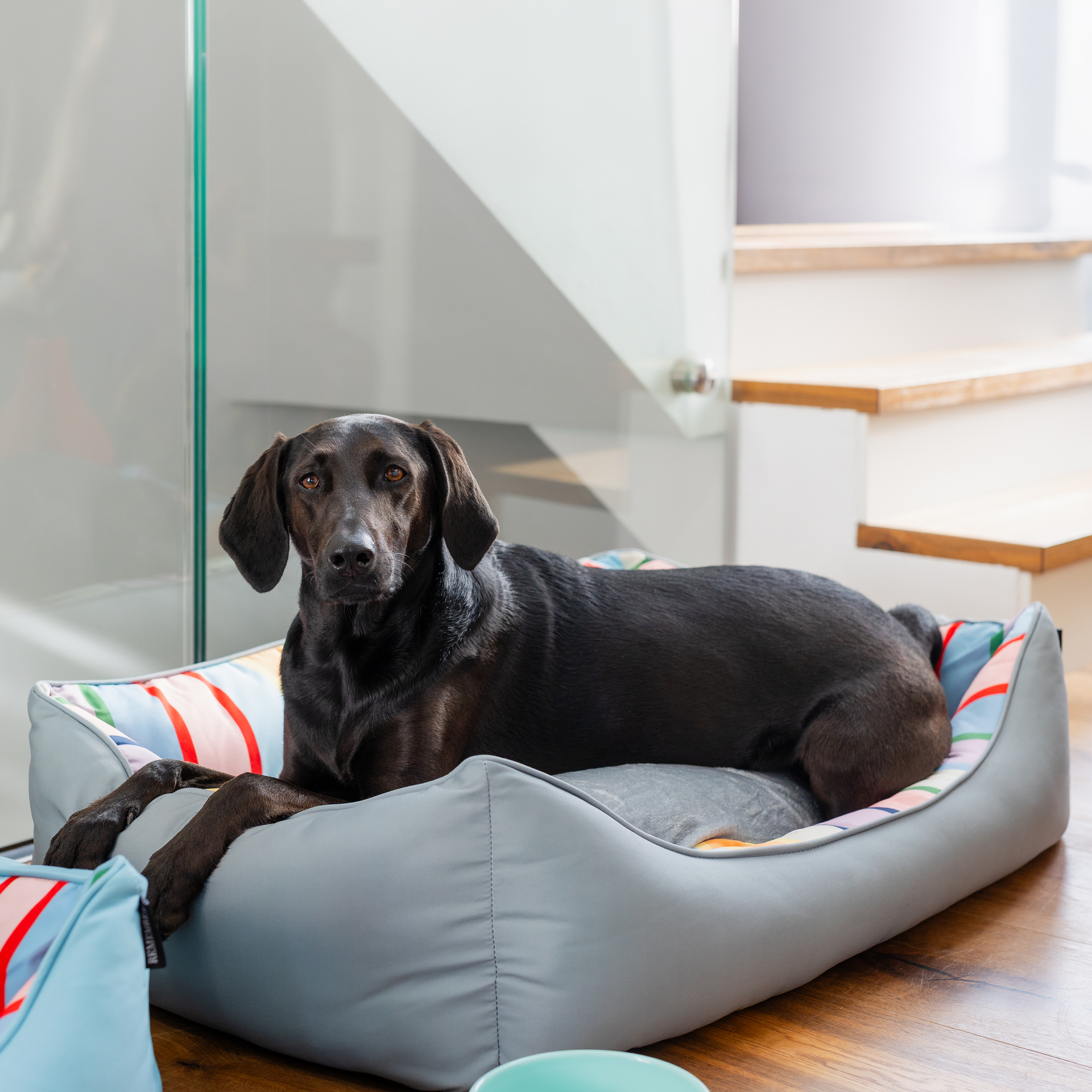 Large 'Lotta L' dog bed with a durable light grey and green outer fabric and a removable cushion. The cushion features colourful vertical stripes in red, blue, yellow, orange, green, pink and purple.