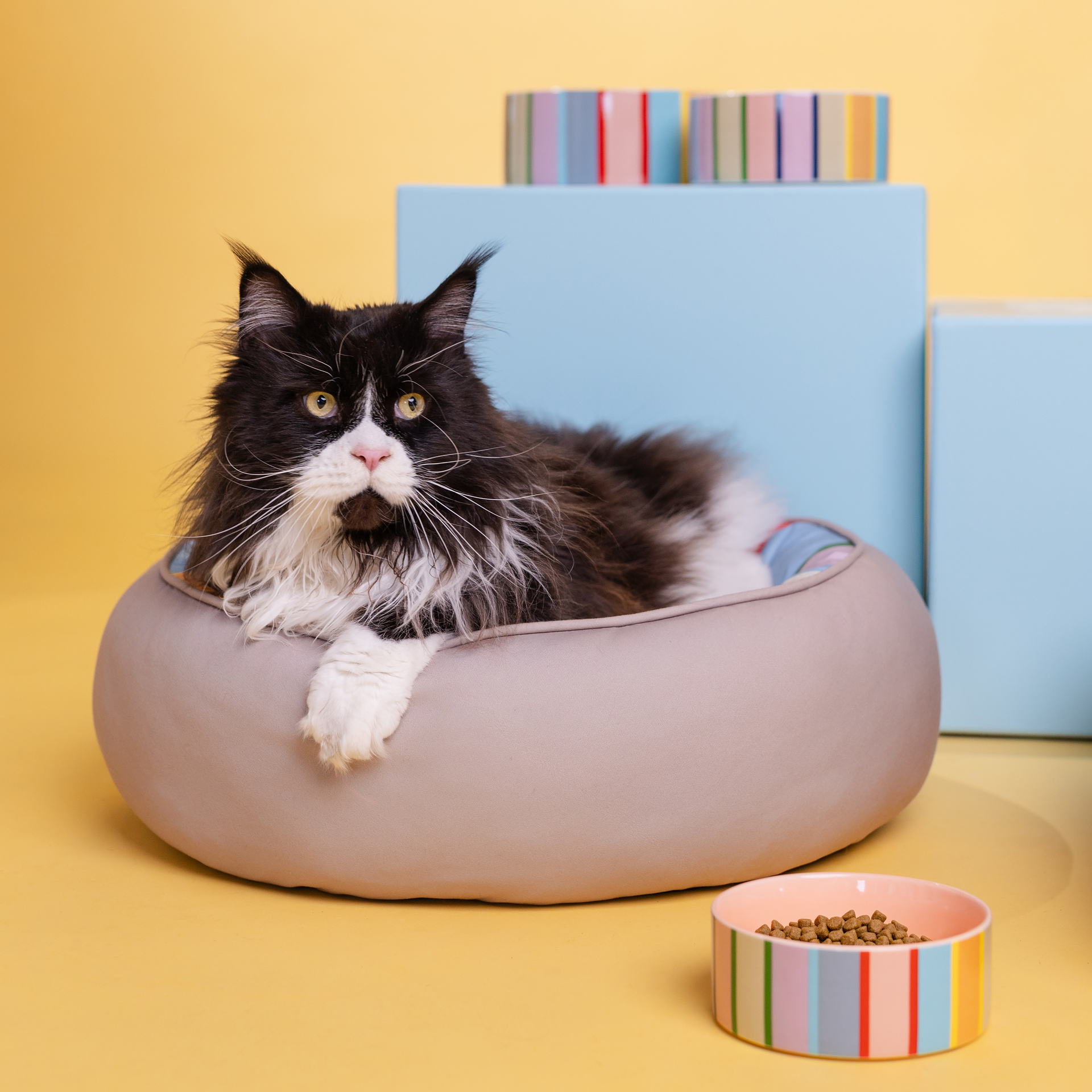 Eine große, langhaarige schwarz-weiße Maine-Coon-Katze liegt entspannt in einem weichen, runden grauen Hunde- und Katzenbett. Weißes Gesicht mit rosa Nase und weiße Pfoten kontrastieren mit dunklem Fell. Vorn steht ein Napf mit Trockenfutter.