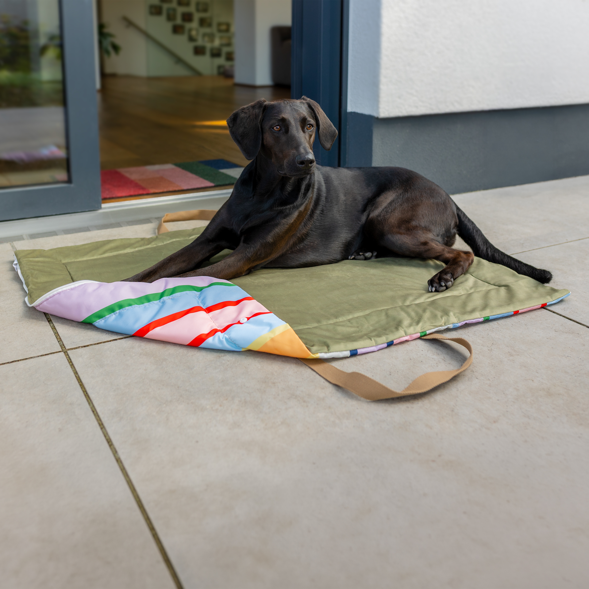 Bunte Outdoor Hundedecke Ronja mit vertikalen Streifen in Braun, Pink, Grün und Blau. In der Mitte zwei helle Trageschlaufen – die robuste, flauschige Decke ist faltbar und leicht zu transportieren. Ideal drinnen und draußen.